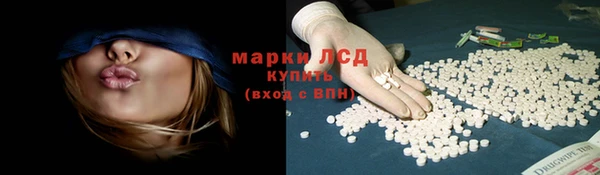 стафф Медвежьегорск