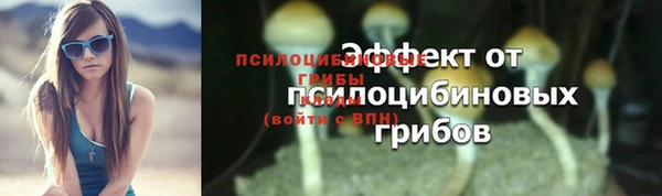 марки lsd Мегион