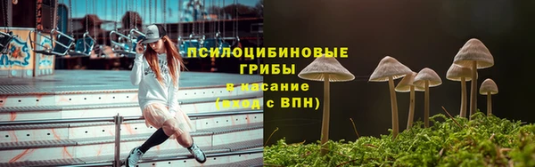 эйфоретик Покачи