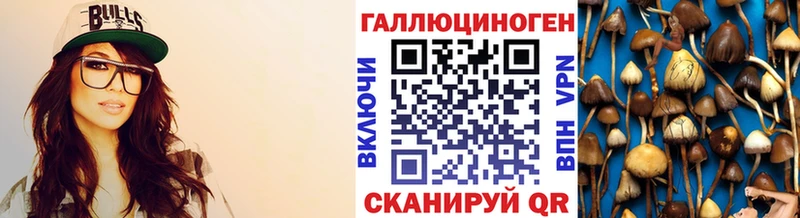 Псилоцибиновые грибы Magic Shrooms  Купить где  Бабаево 
