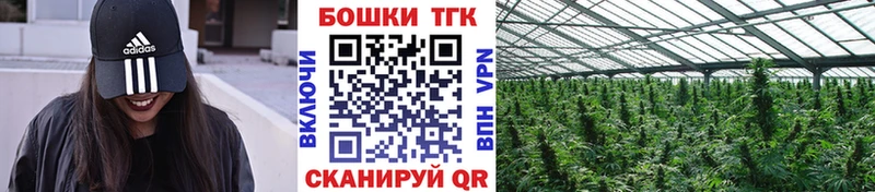 Купить где  Бабаево  Канабис планчик 